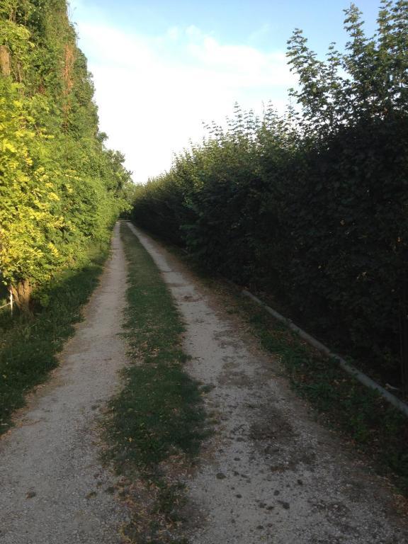 Agriturismo La Dondina Budrio  Exterior foto